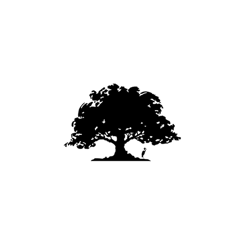 Cotton Land Title logo