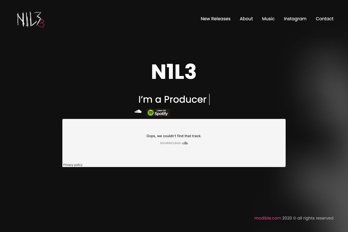 N1L3 website preview